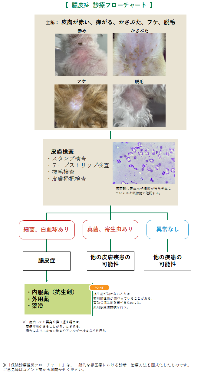 膿皮症の診療フローチャート