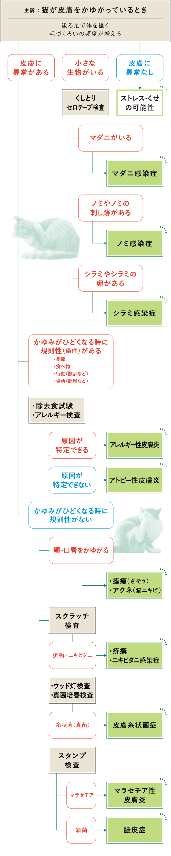 猫 かゆみ フローチャート