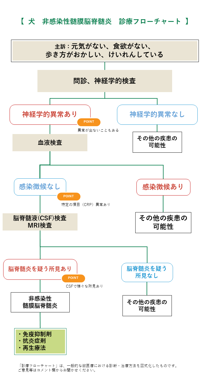 犬の非感染性髄膜脳脊髄炎フロチャ