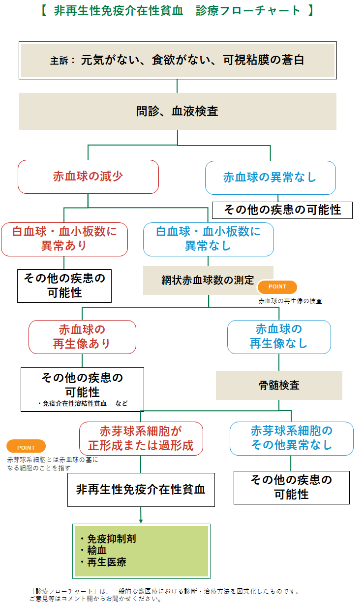 非再生性免疫介在性貧血(NRIMA)のフローチャート 