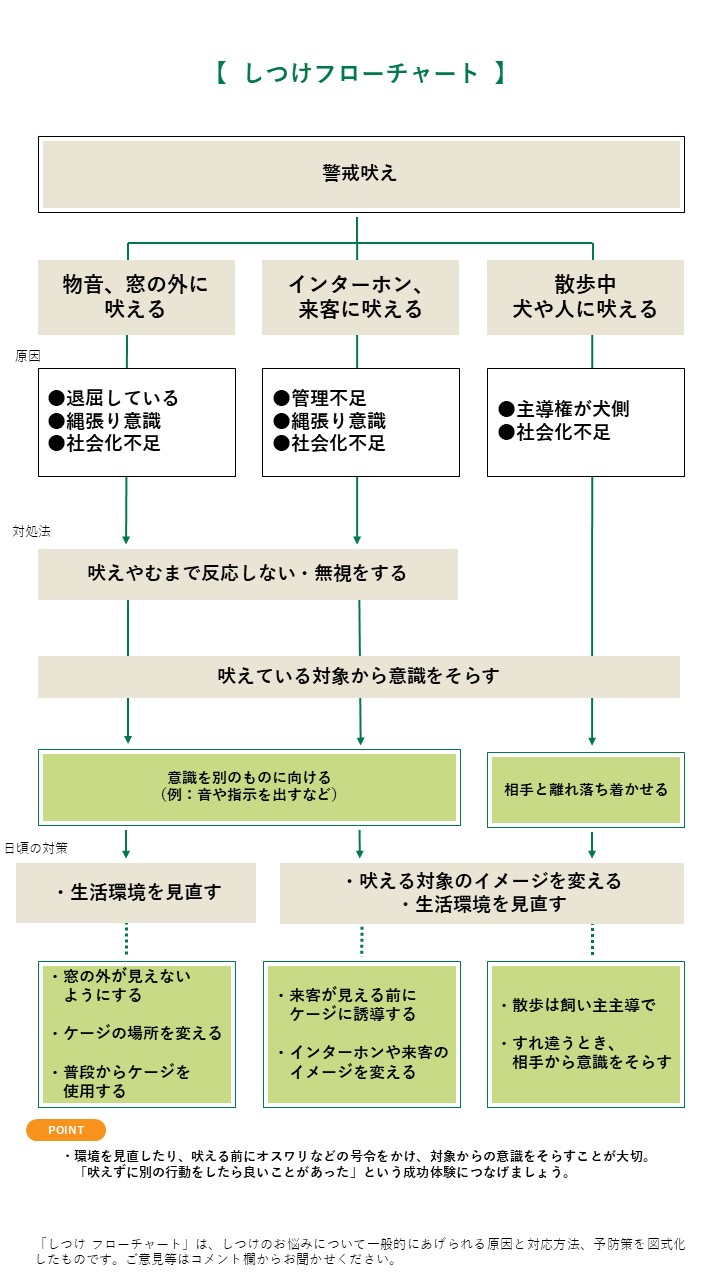 警戒吠え みんなのどうぶつ病気大百科