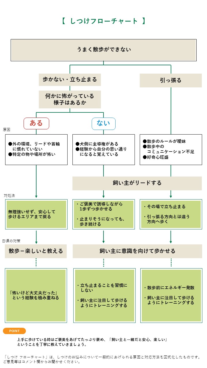 さんぽフローチャート