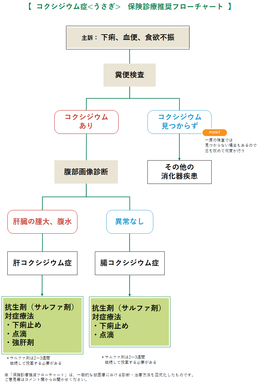 コクシジウム症 うさぎ みんなのどうぶつ病気大百科