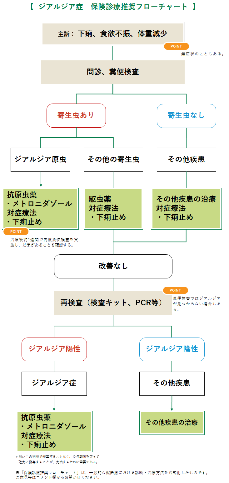 ジアルジア症の診療フローチャート
