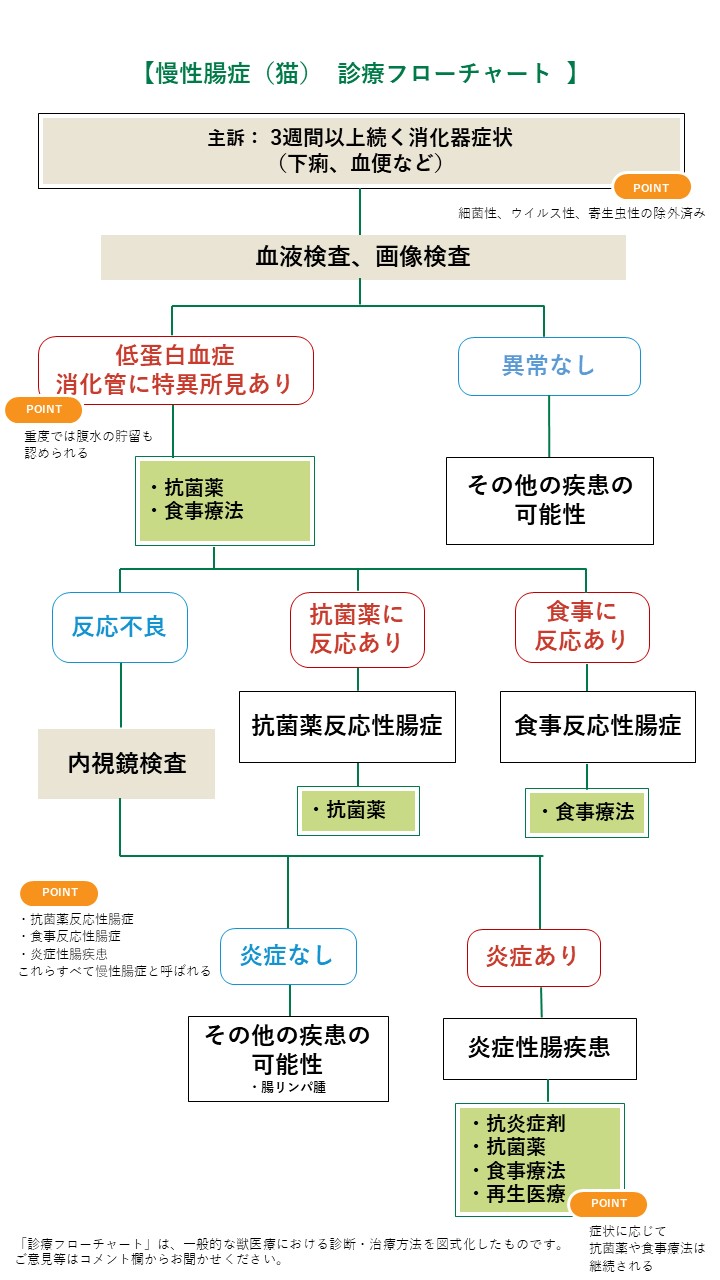 猫慢性腸症フローチャート