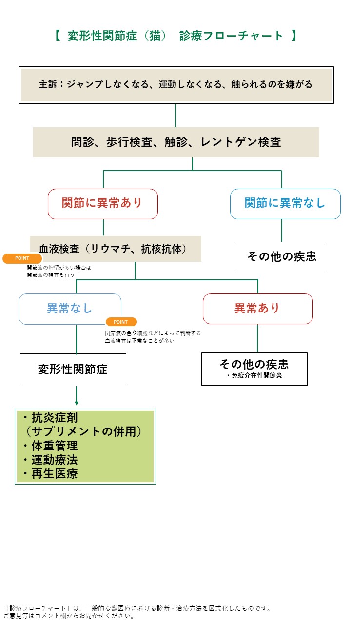 猫の変形性関節症フローチャート