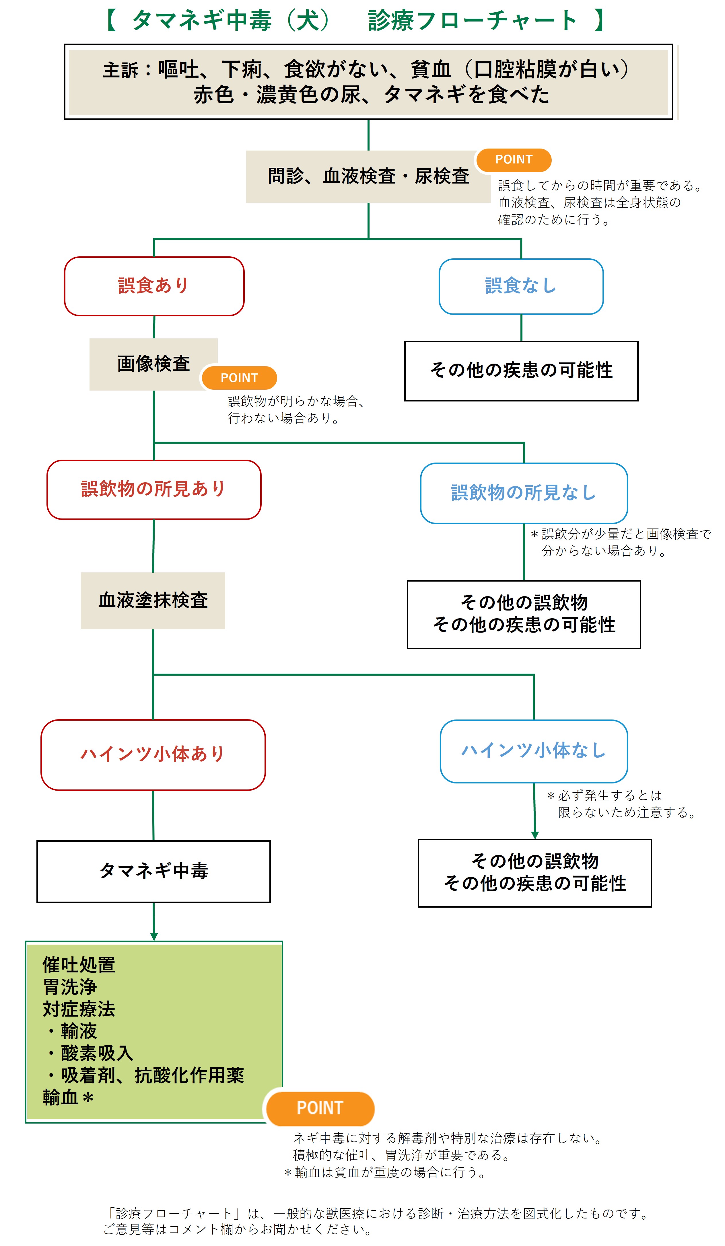 タマネギ中毒（フローチャート）