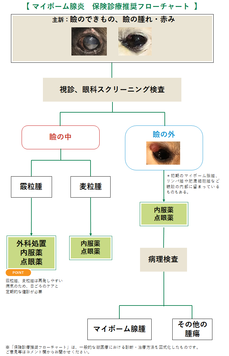 マイボーム腺炎のフローチャート
