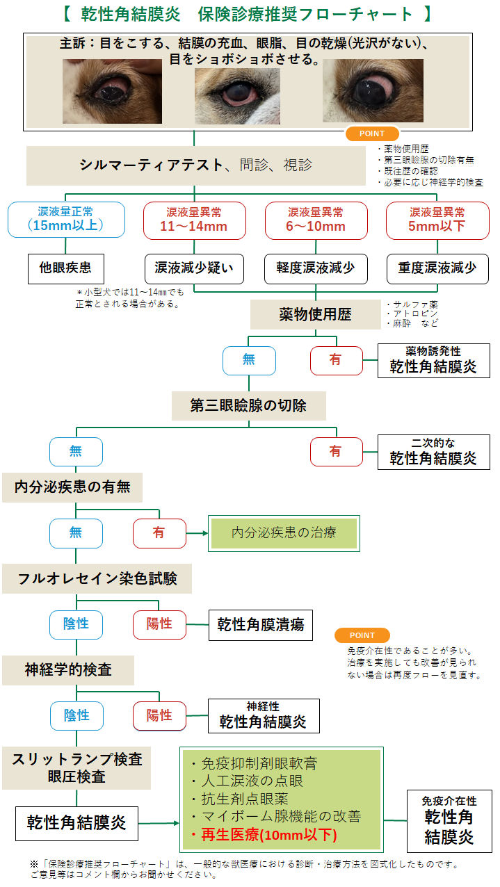 乾性角結膜炎のフローチャート