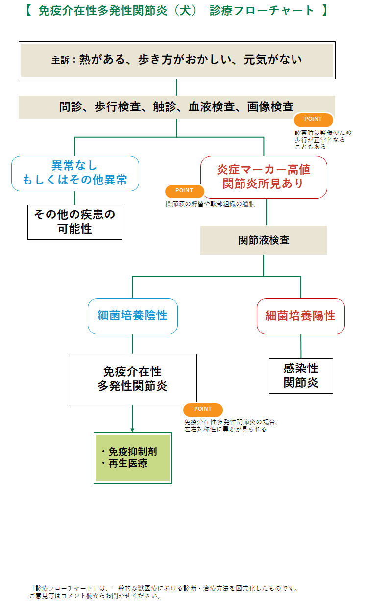 免疫介在性多発性関節炎のフローチャート