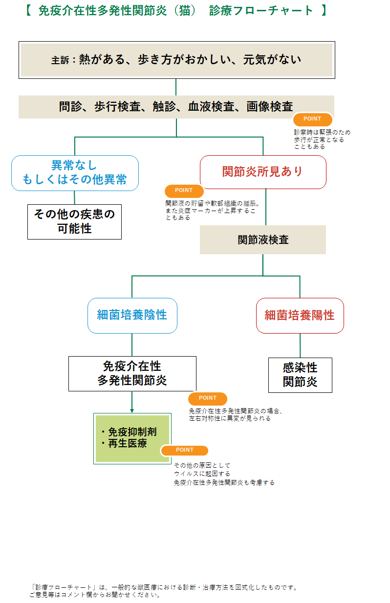 免疫介在性多発性関節炎のフローチャート
