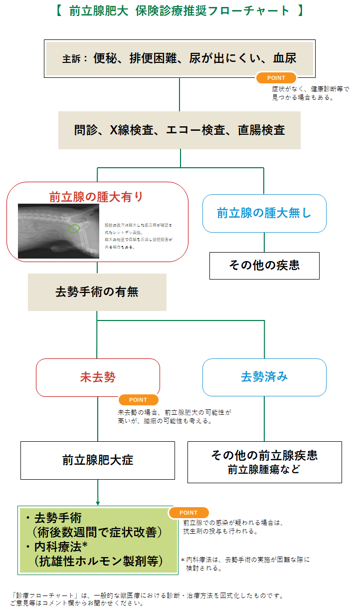 前立腺肥大のフローチャート