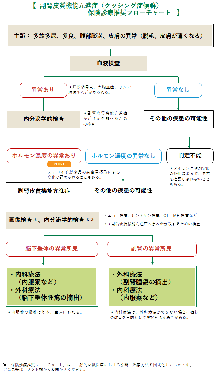 副腎皮質機能亢進症 犬 みんなのどうぶつ病気大百科