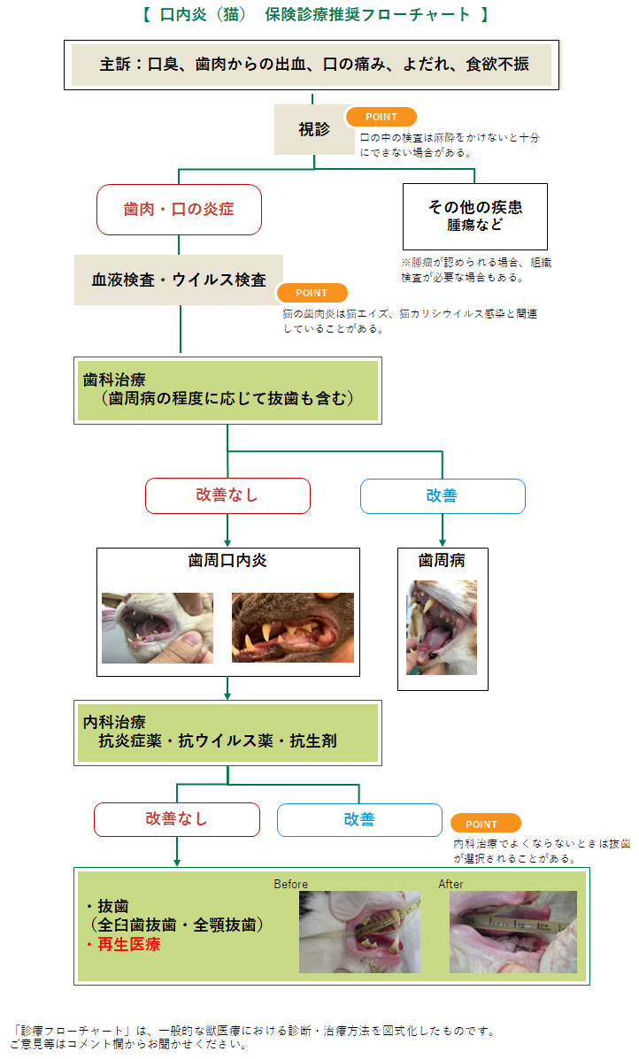 口内炎のフローチャート