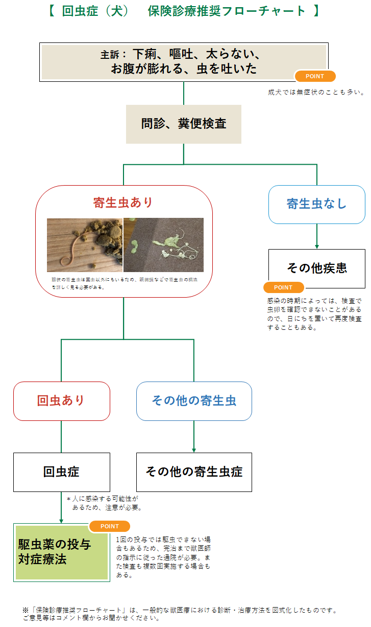 回虫症(犬)のフローチャート