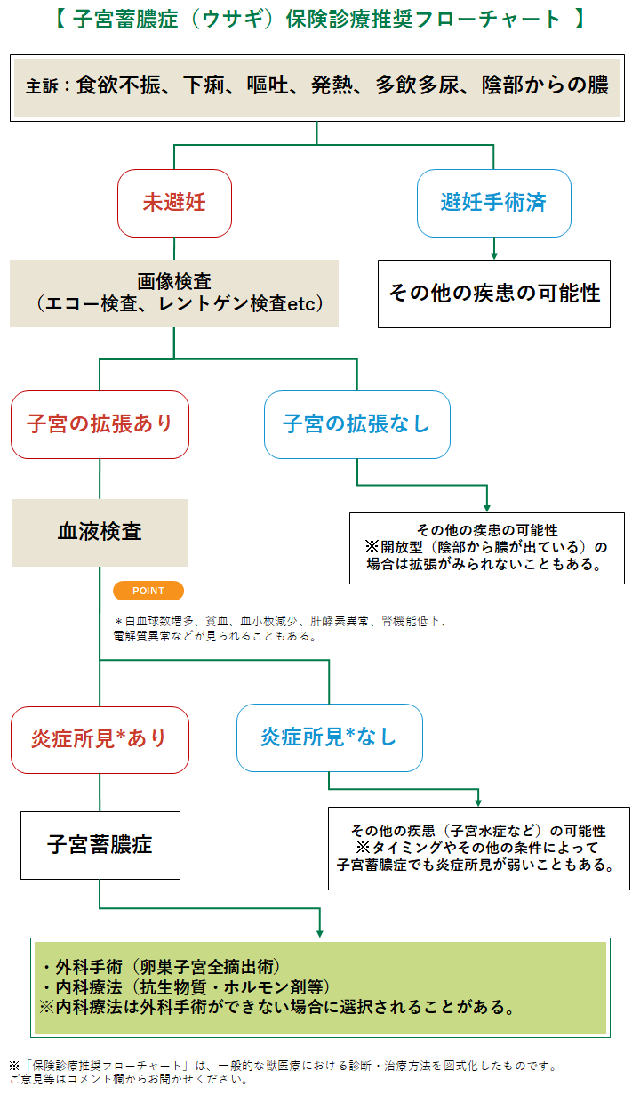 子宮蓄膿症の診療フローチャート