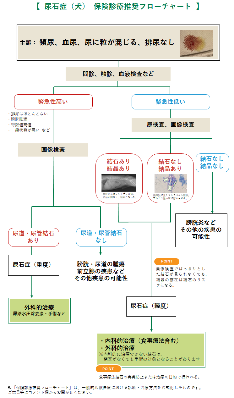 尿石症(犬)のフローチャート