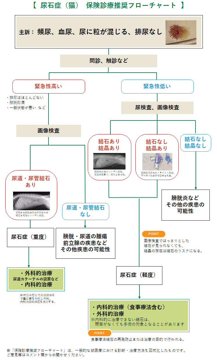 尿石症(猫)のフローチャート