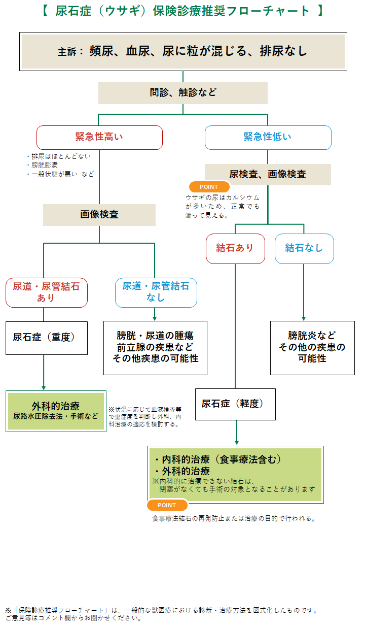 尿石症（ウサギ）の診療フローチャート