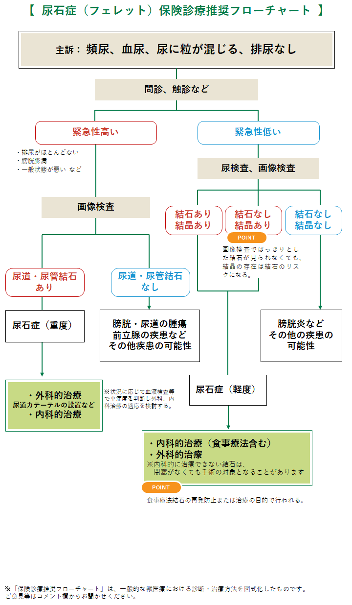 尿石症（フェレット）の診療フローチャート