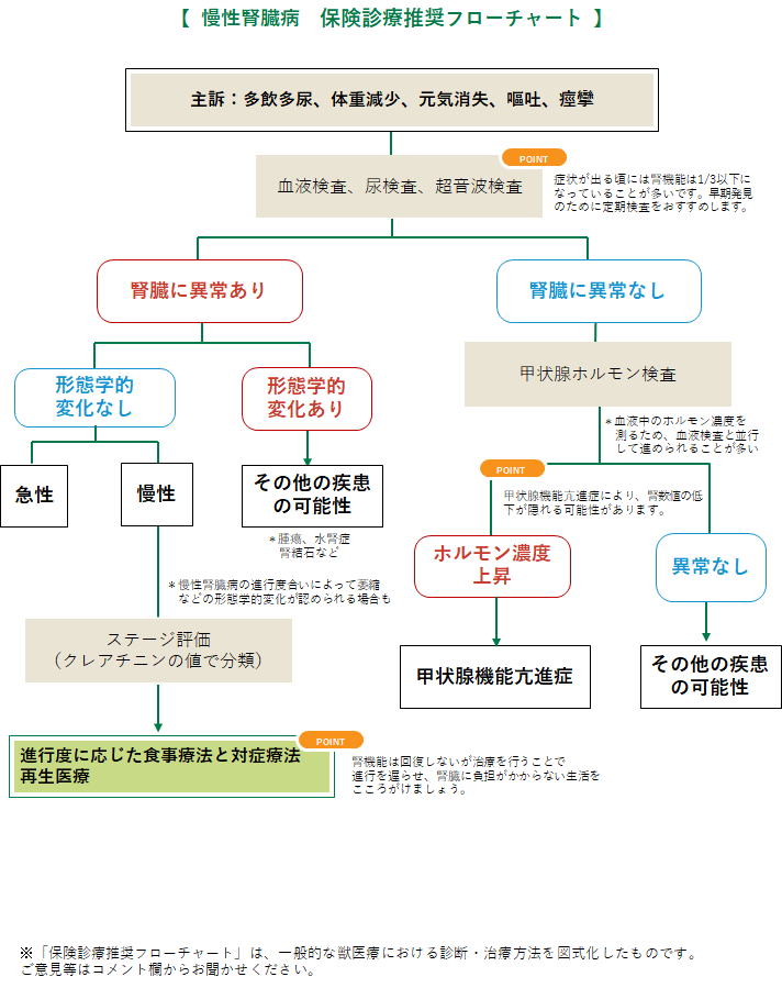 腎不全 猫 みんなのどうぶつ病気大百科