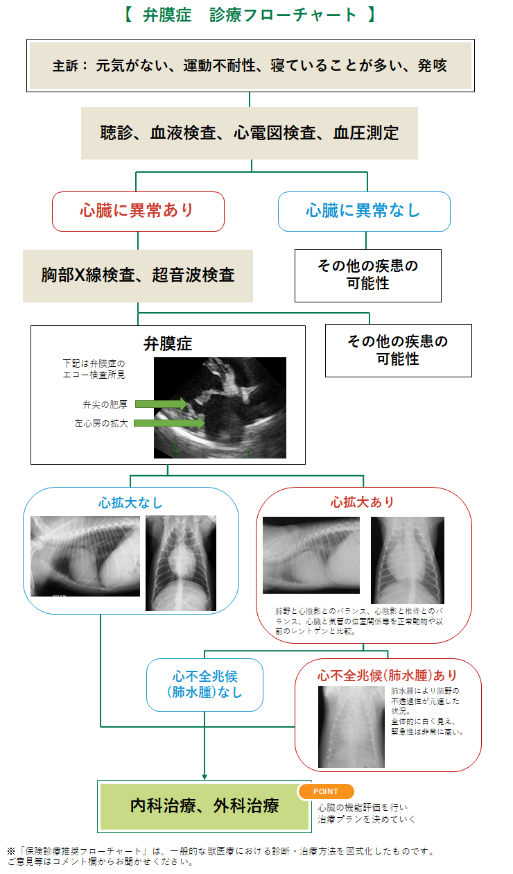 弁膜症の診療フローチャート