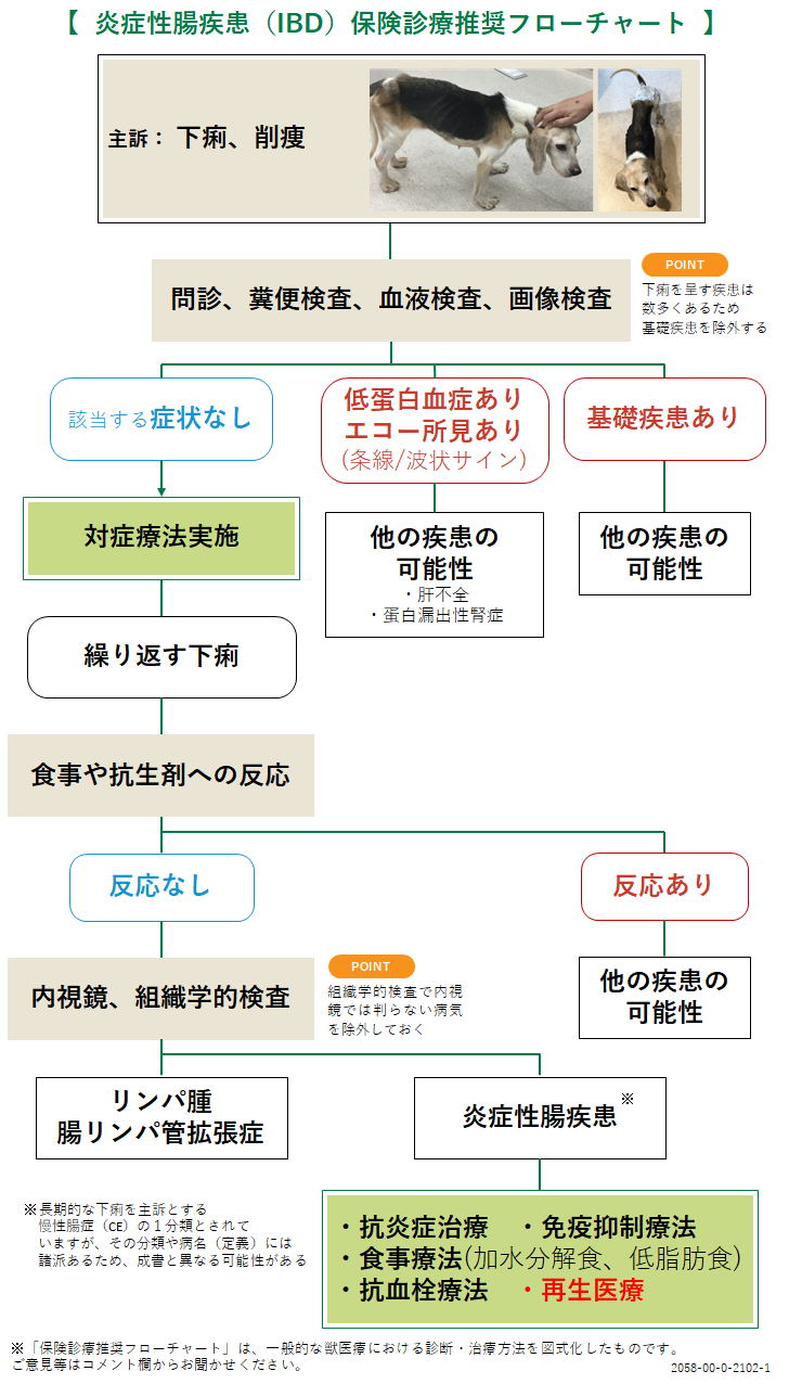 炎症性腸疾患・IBDの診療フローチャート