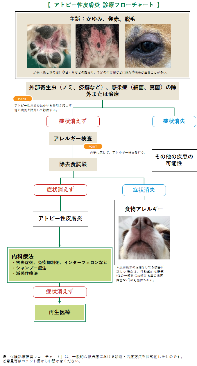 アトピー性皮膚炎の診療フローチャート