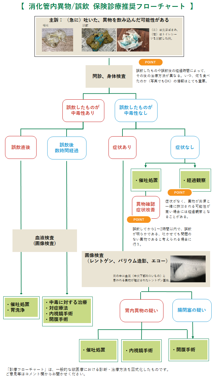 誤飲のフローチャート
