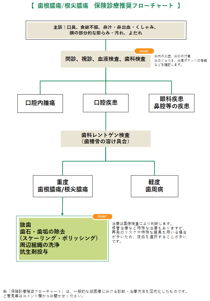 根尖膿瘍 こんせんのうよう 犬 みんなのどうぶつ病気大百科 根尖膿瘍 こんせんのうよう 犬 みんなのどうぶつ病気大百科