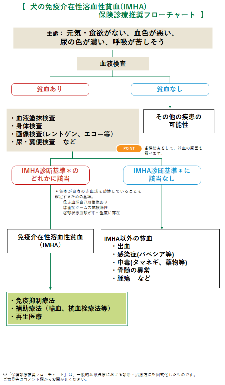 犬の免疫介在性溶血性貧血(IMHA)の診療フローチャート