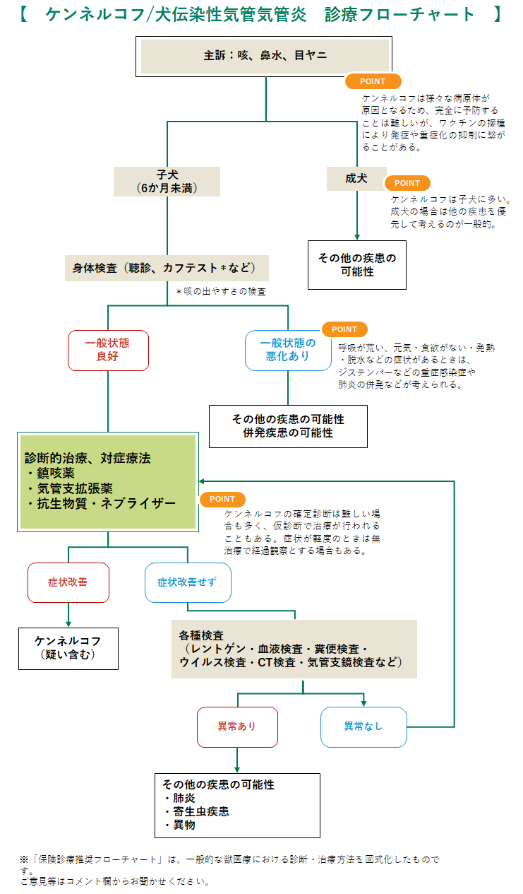 ケンネルコフの診療フローチャート