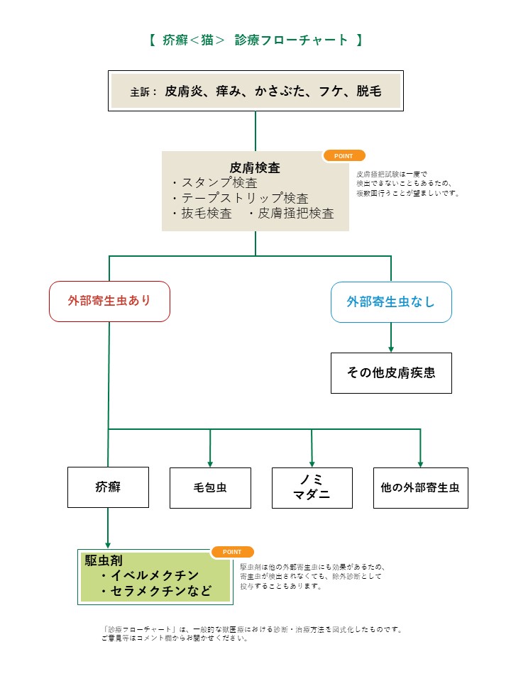 疥癬 猫 みんなのどうぶつ病気大百科