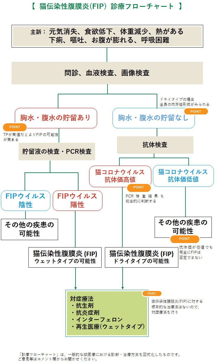 FIPの診療フローチャート