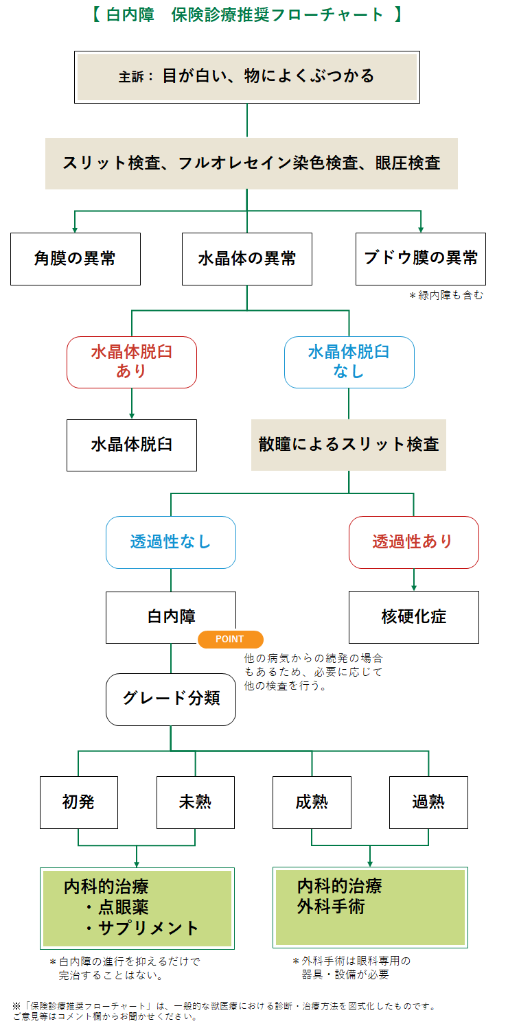白内障 うさぎ みんなのどうぶつ病気大百科 白内障 うさぎ みんなのどうぶつ病気大百科