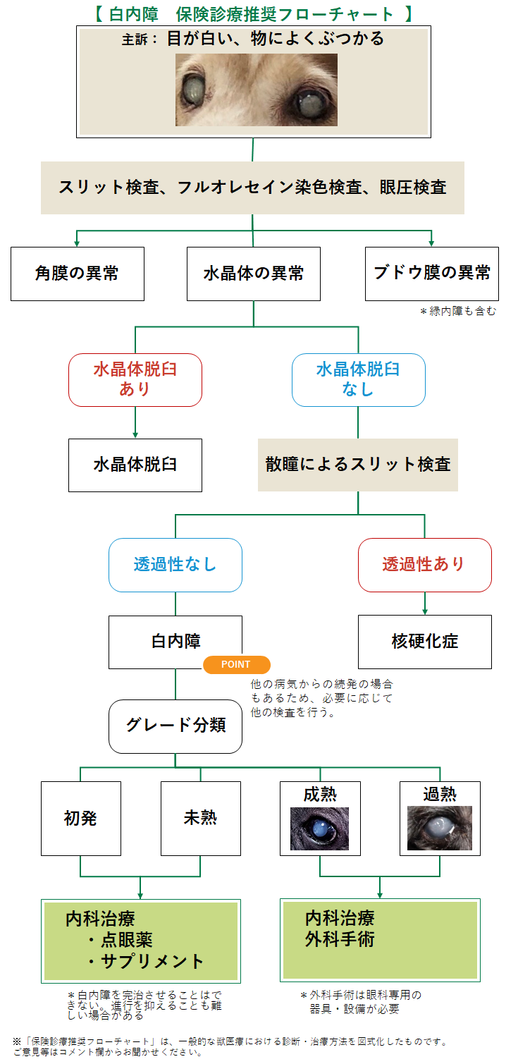白内障のフローチャート