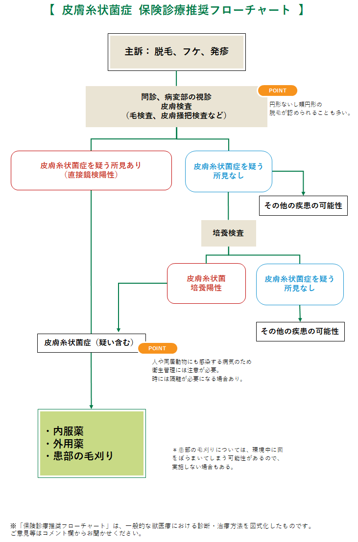 皮膚糸状菌症の診療フローチャート