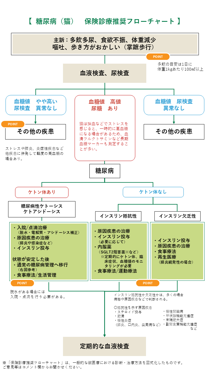 糖尿病の診療フローチャート