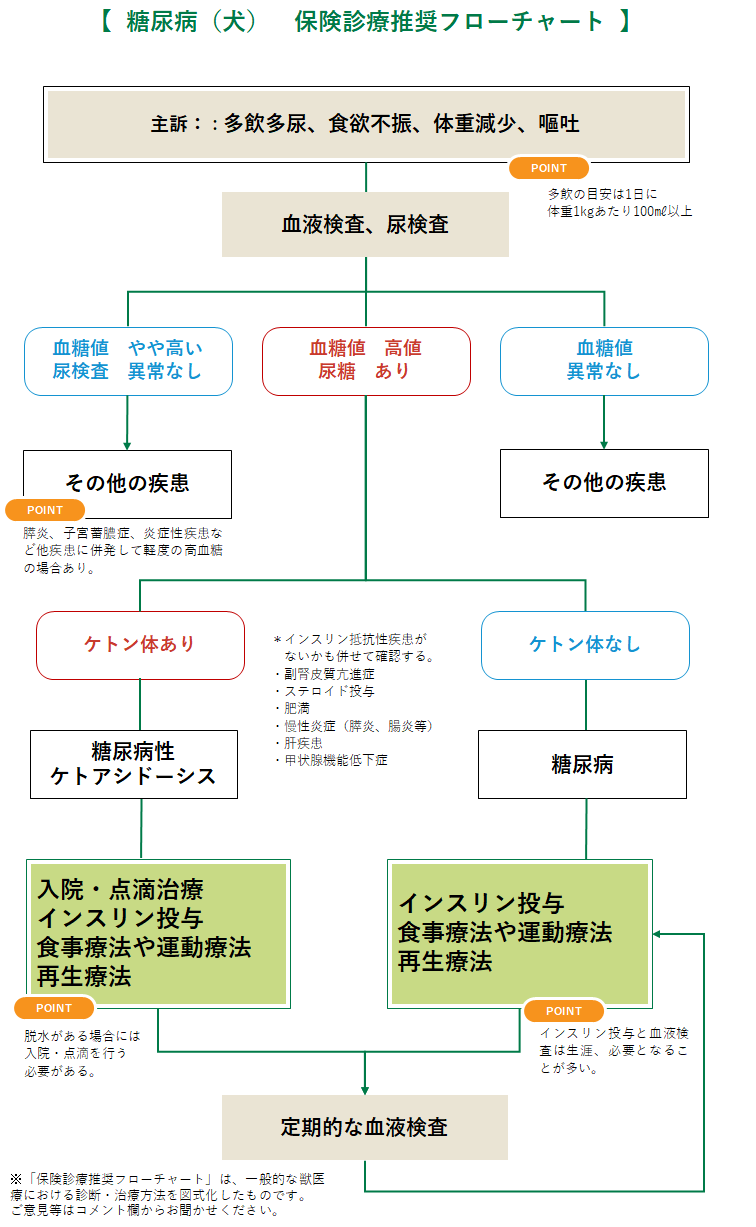 糖尿病 犬 みんなのどうぶつ病気大百科