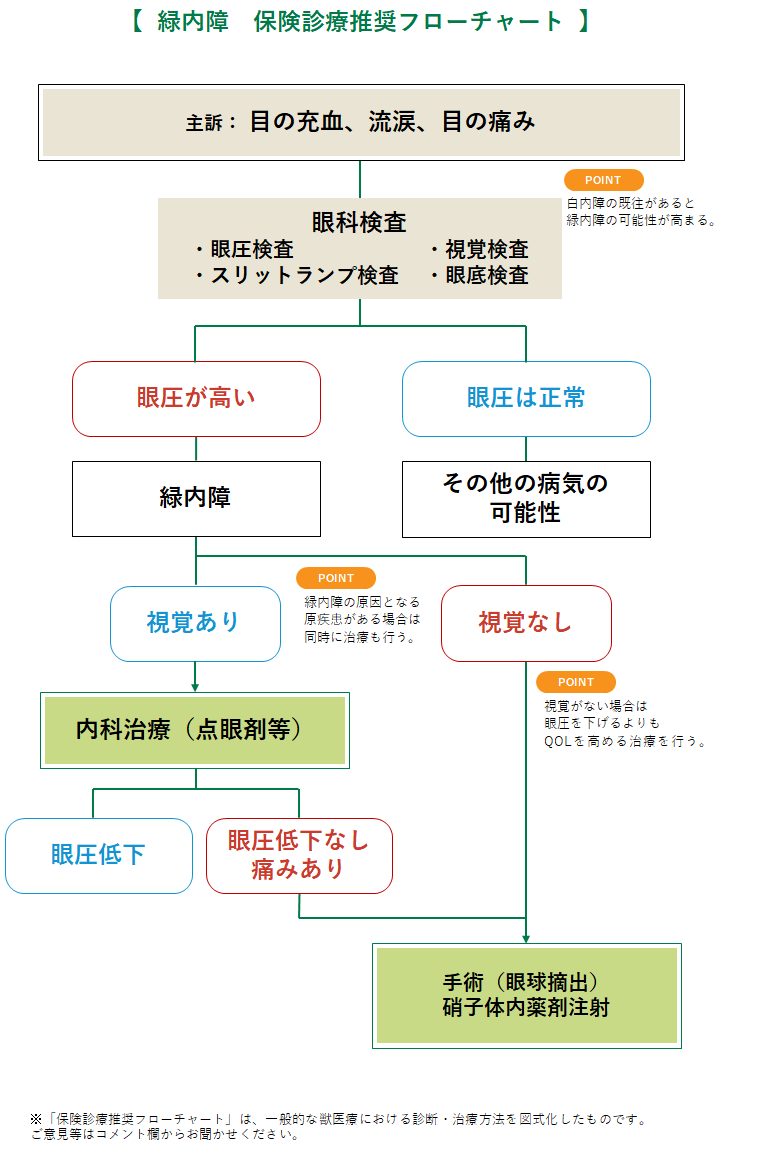 緑内障 うさぎ みんなのどうぶつ病気大百科