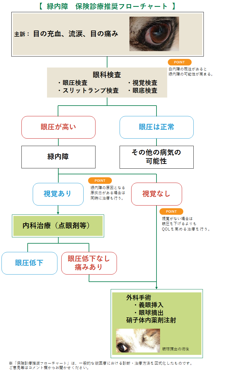 緑内障のフローチャート