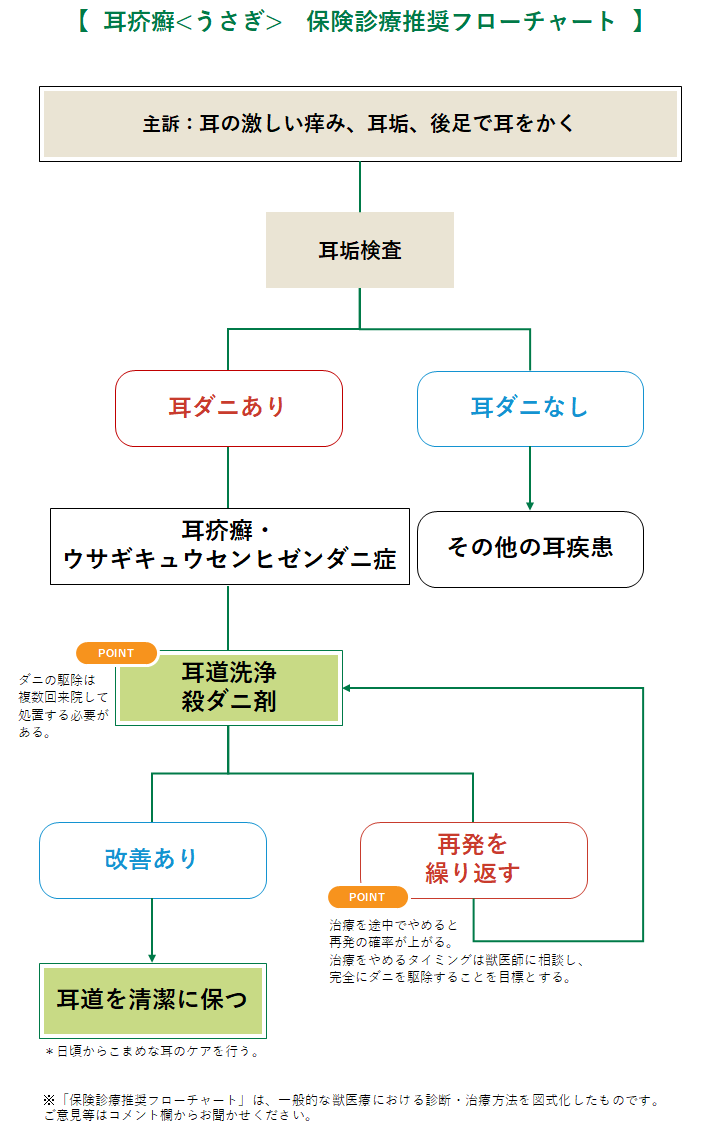 耳疥癬の診療フローチャート