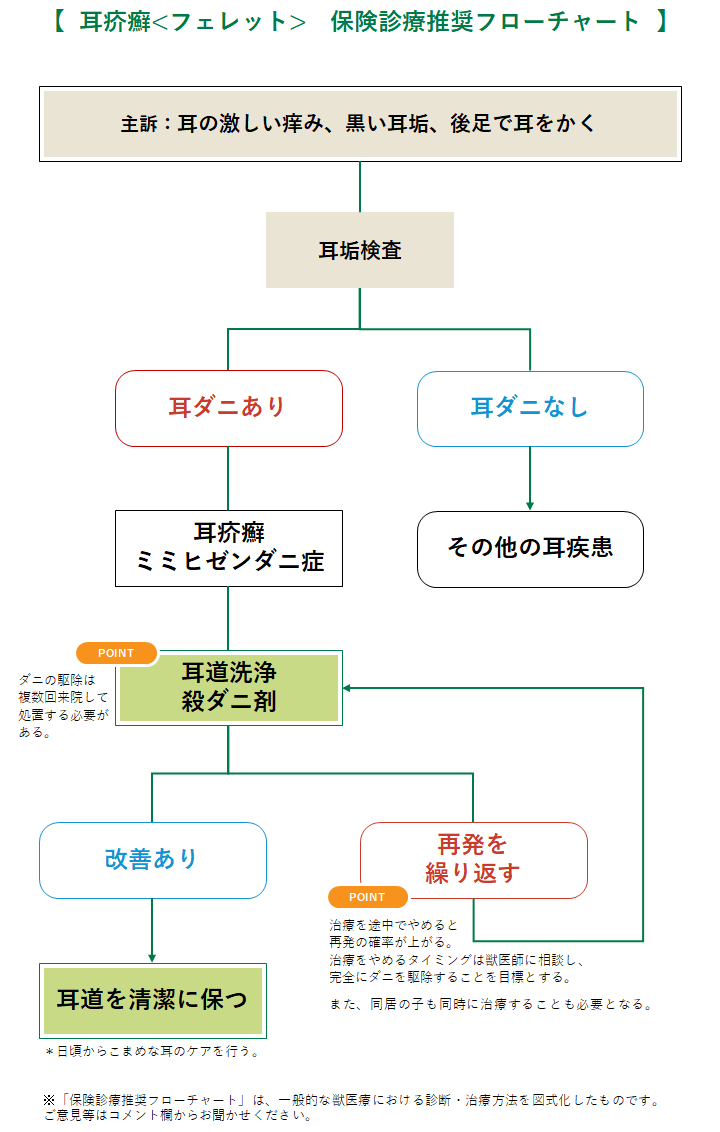 耳疥癬の診療フローチャート