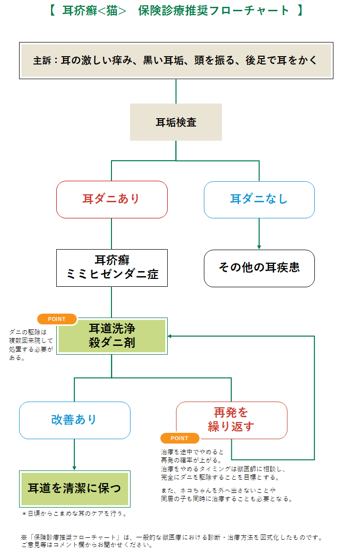 耳疥癬の診療フローチャート