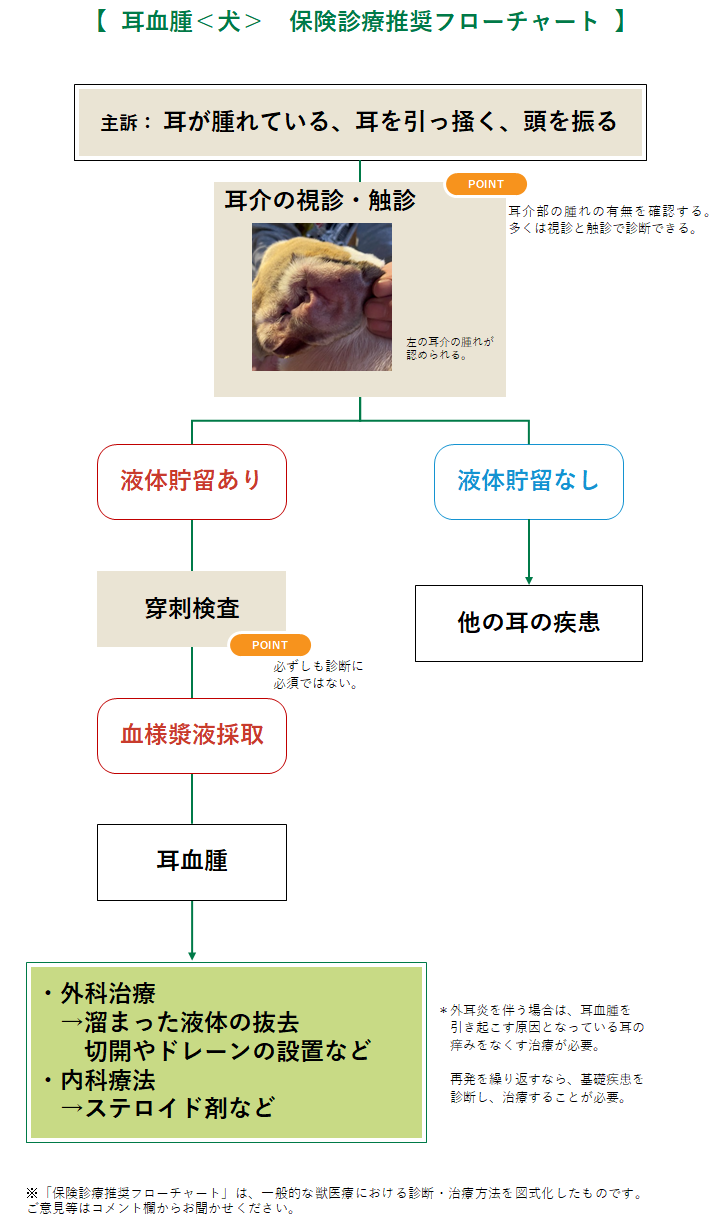 耳血腫(犬)のフローチャート