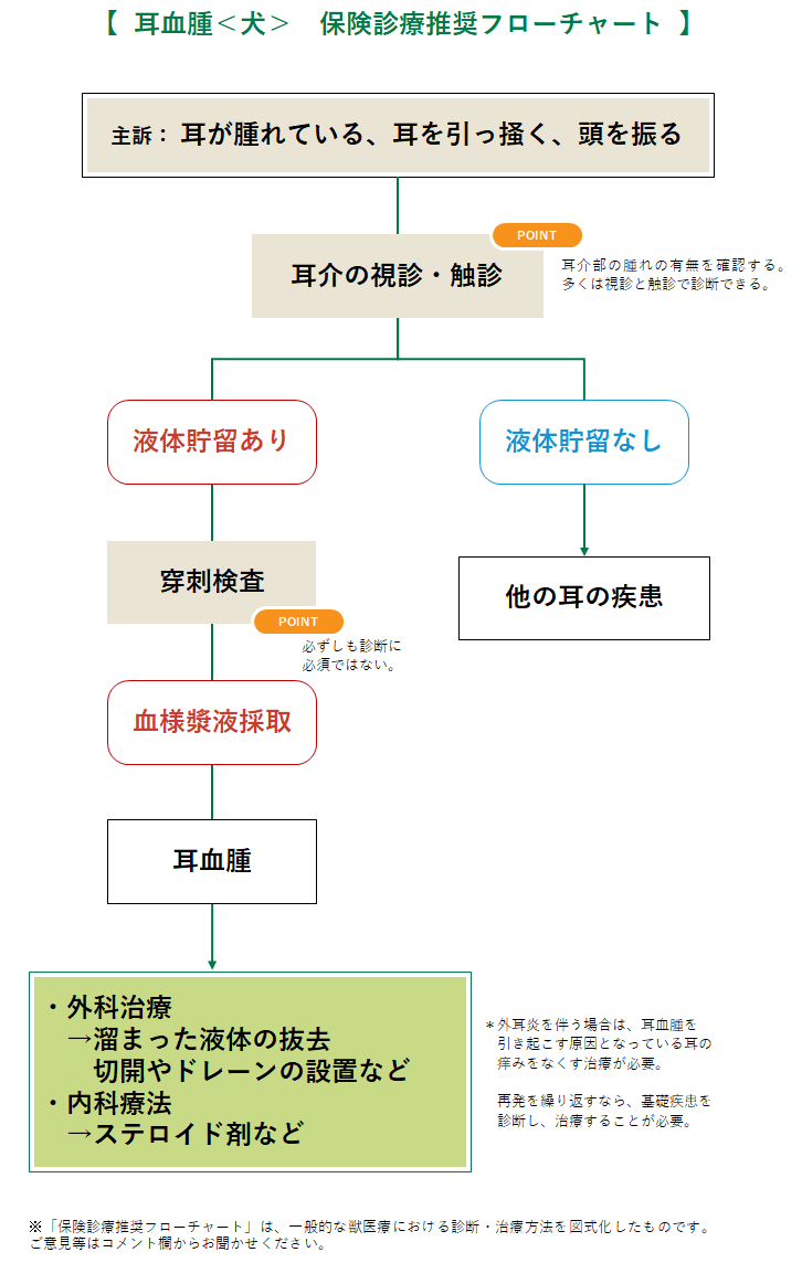 耳血腫 犬 みんなのどうぶつ病気大百科