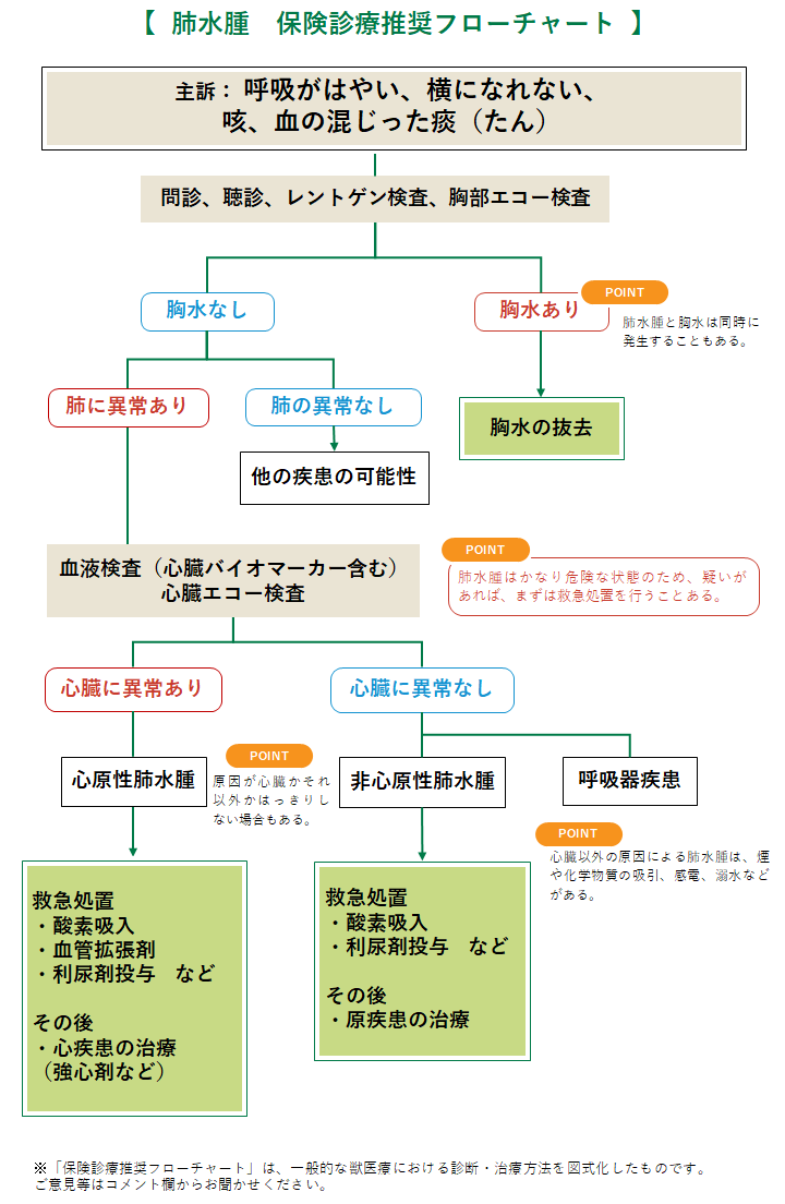 肺水腫の診療フローチャート