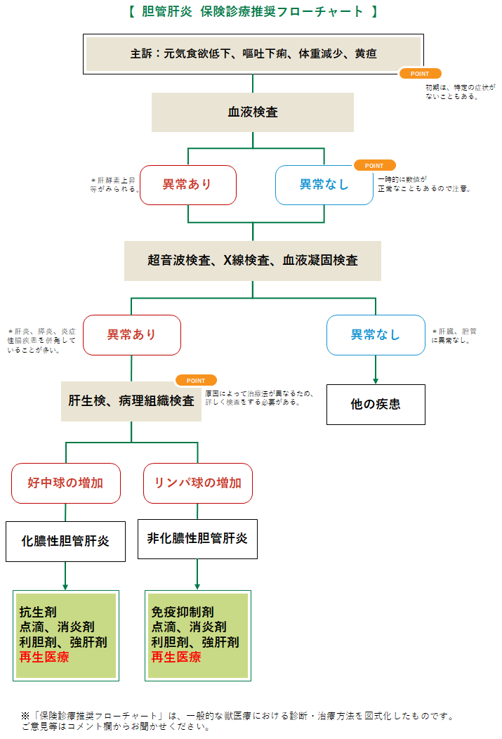 胆管炎 胆管肝炎の診療フローチャート