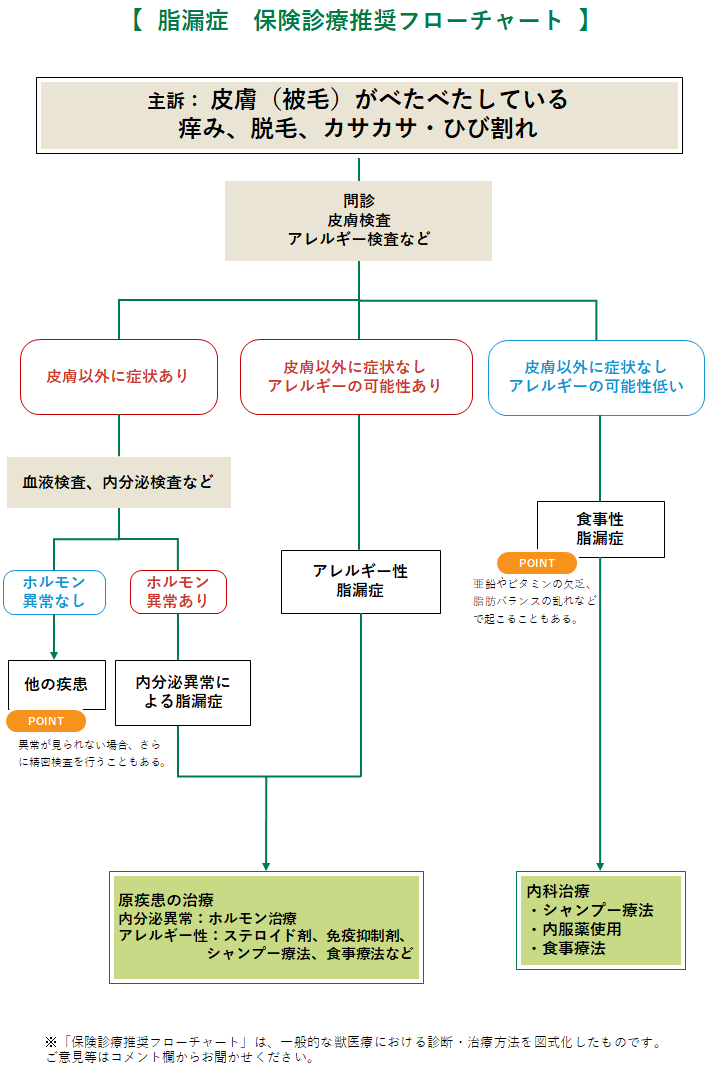 脂漏症 犬 みんなのどうぶつ病気大百科