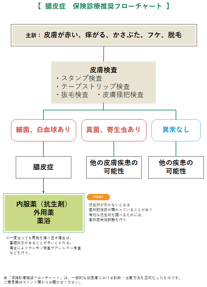 膿皮症 犬 みんなのどうぶつ病気大百科